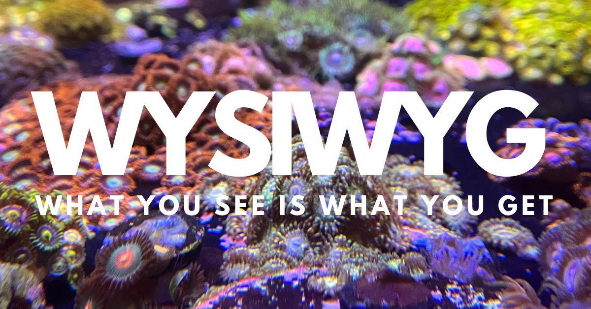 WYSIWYG