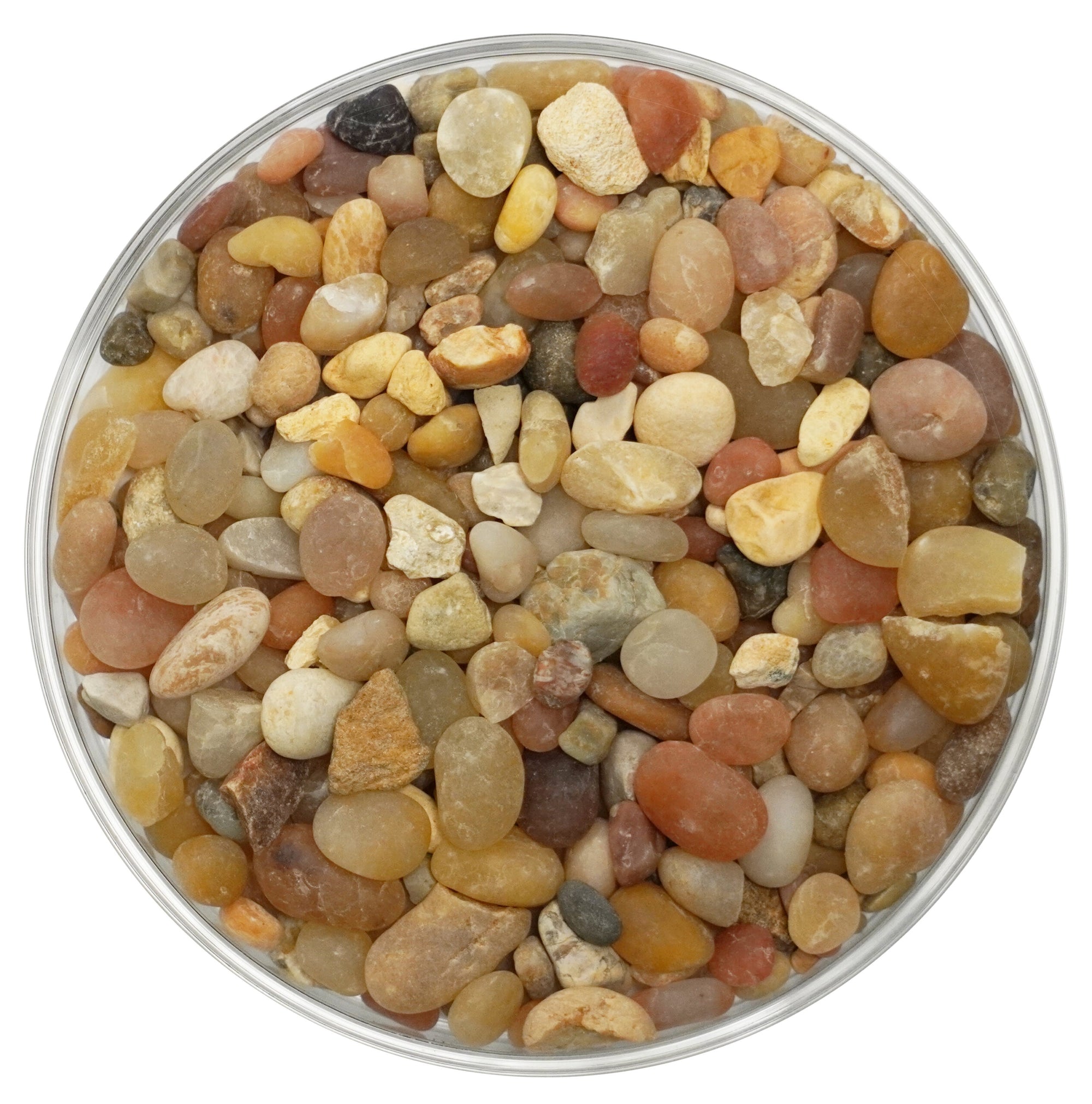 Super Naturals Essentials – Zen Garden (5 units)
