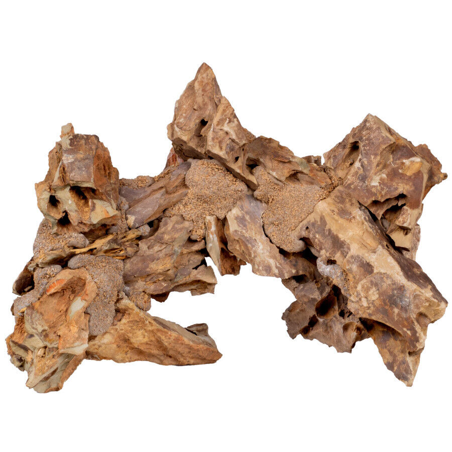 CaribSea - Exotica - Dragon Arches - 12" - 4 pack