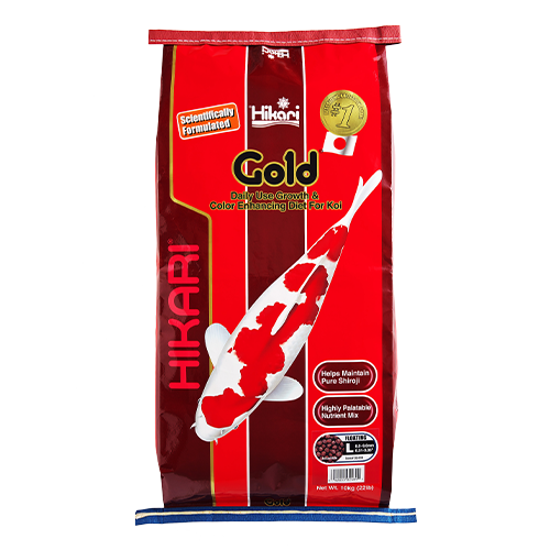 Hikari Gold Large