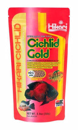 Cichlid Gold Mini