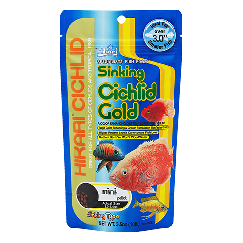 Sinking Cichlid Gold Mini