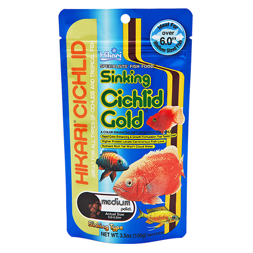 Sinking Cichlid Gold Medium