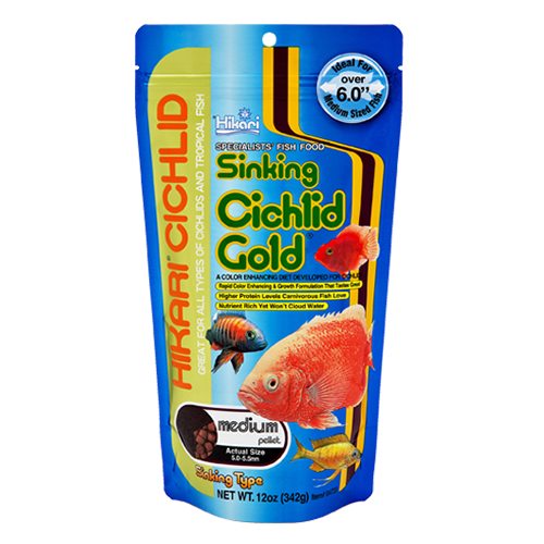 Sinking Cichlid Gold Medium