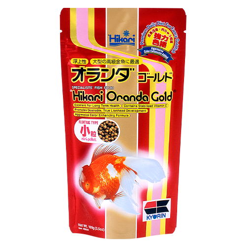 Oranda Gold Mini