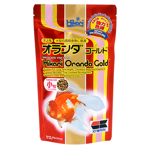 Oranda Gold Mini