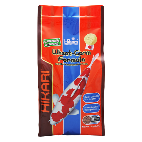 Wheat Germ Medium