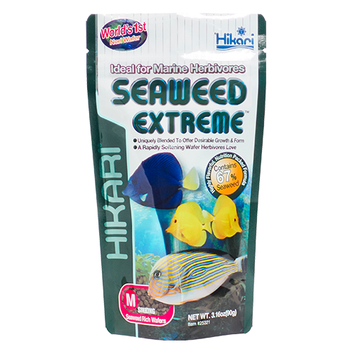 Seaweed Extreme Medium