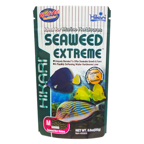 Seaweed Extreme Medium