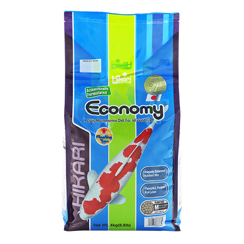 Economy Medium