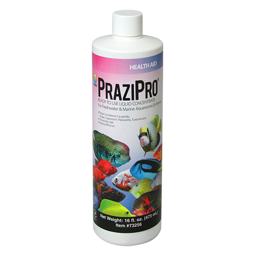 Prazipro Parasite Treatment
