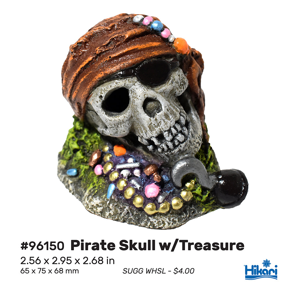 Hikari - AS Resin - Pirate Skull with Treasure 2.68" (min. 6)
