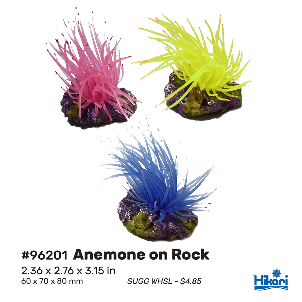 Hikari - AS Resin - SW Anemone On Rock 3.15" - (3 pack)