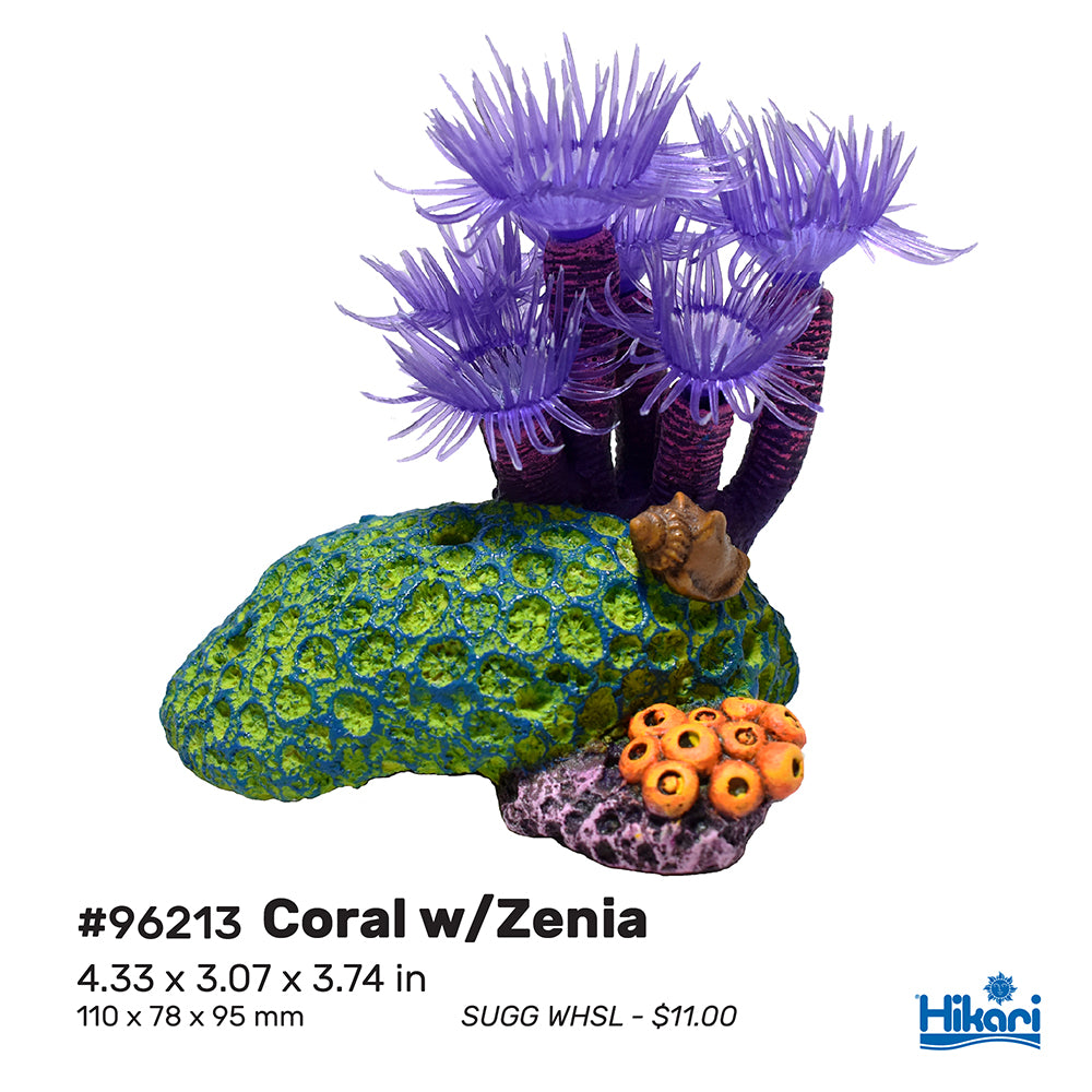Hikari - AS Resin - SW Coral with Zenia 3.54" (min. 2)