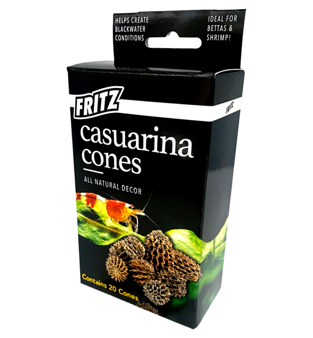 Fritz - Casuarina Cones - 20 cones