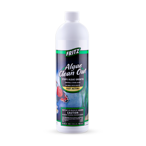 Algae Clean Out