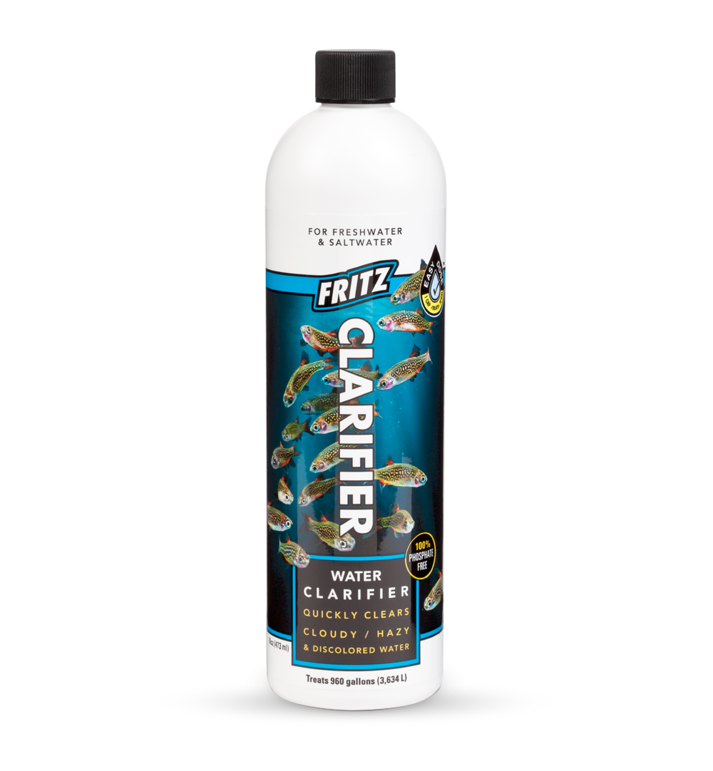 Clarifier