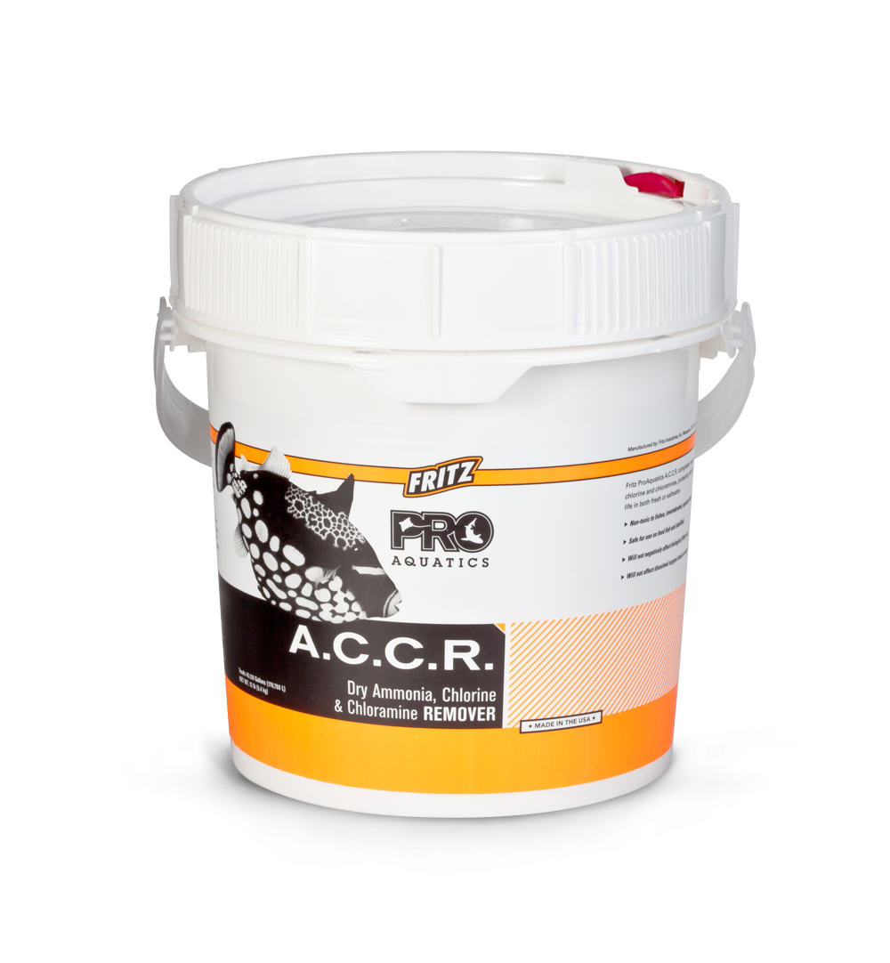 A.C.C.R.