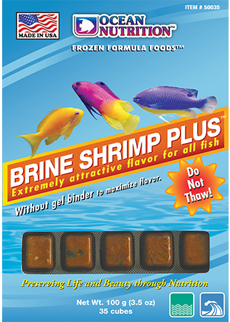 Brine Shrimp plus cubes