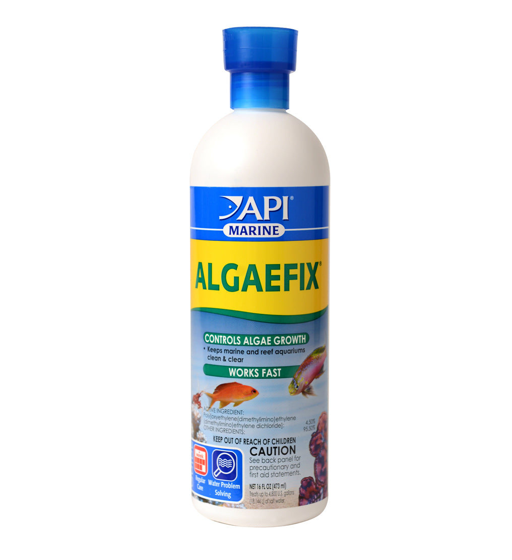 API - Algaefix Marine 16 oz.