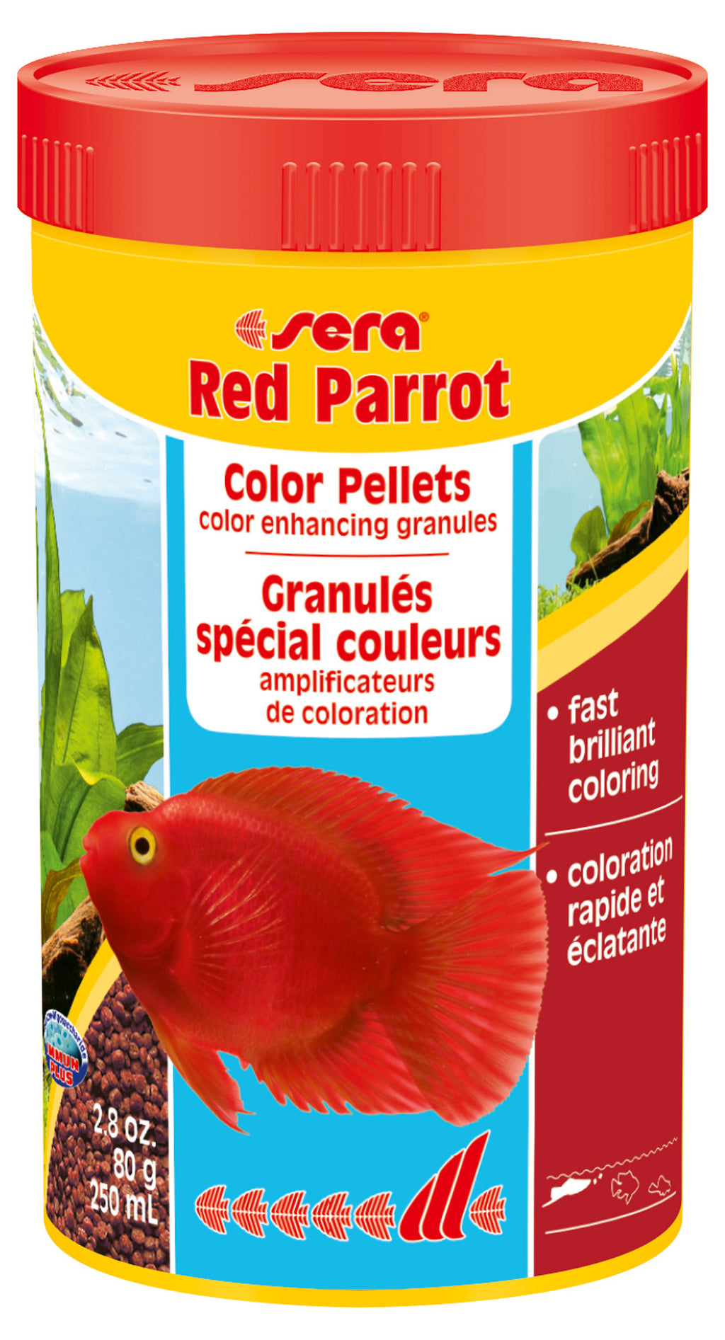 Red Parrot