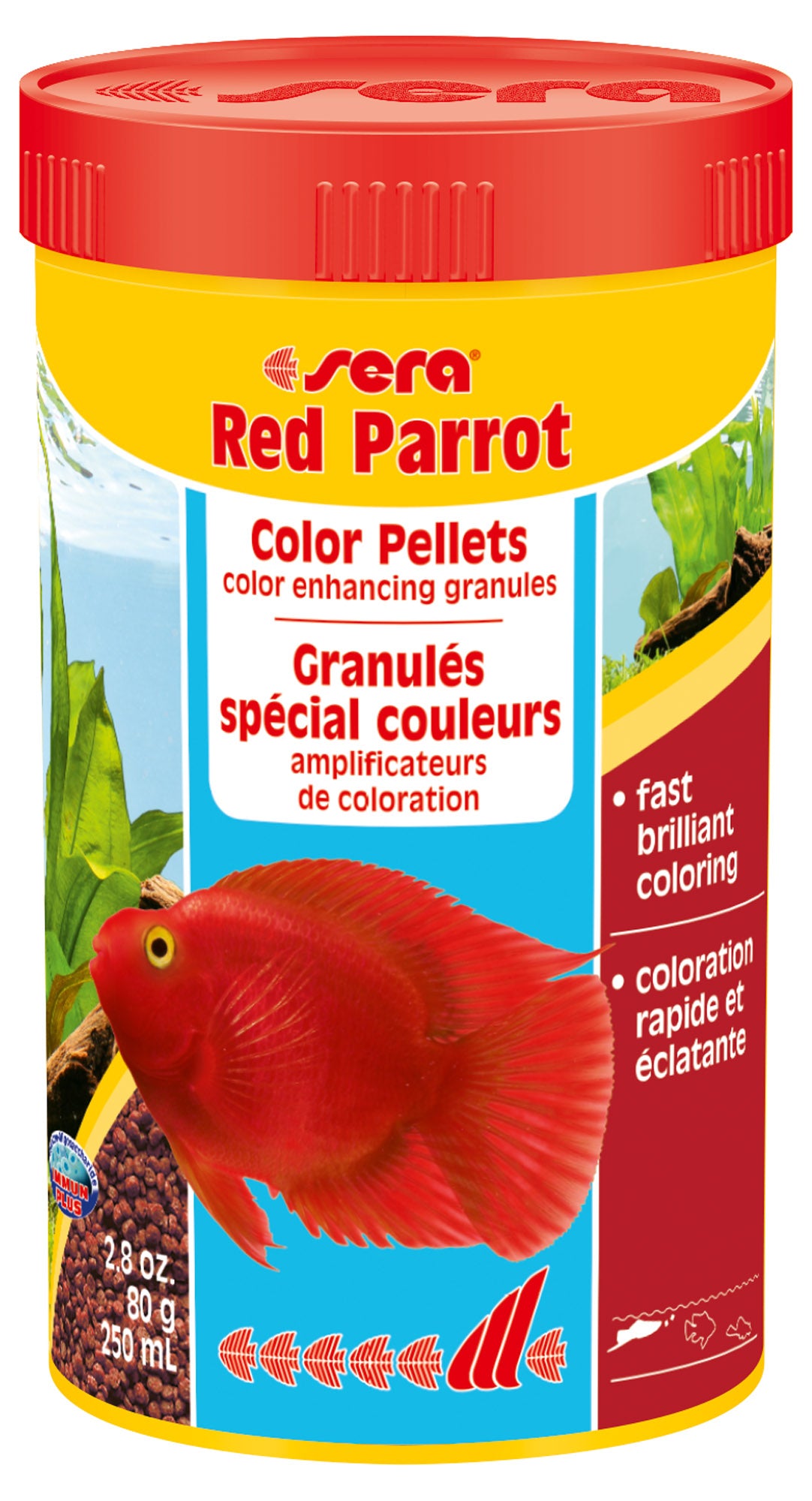 Red Parrot