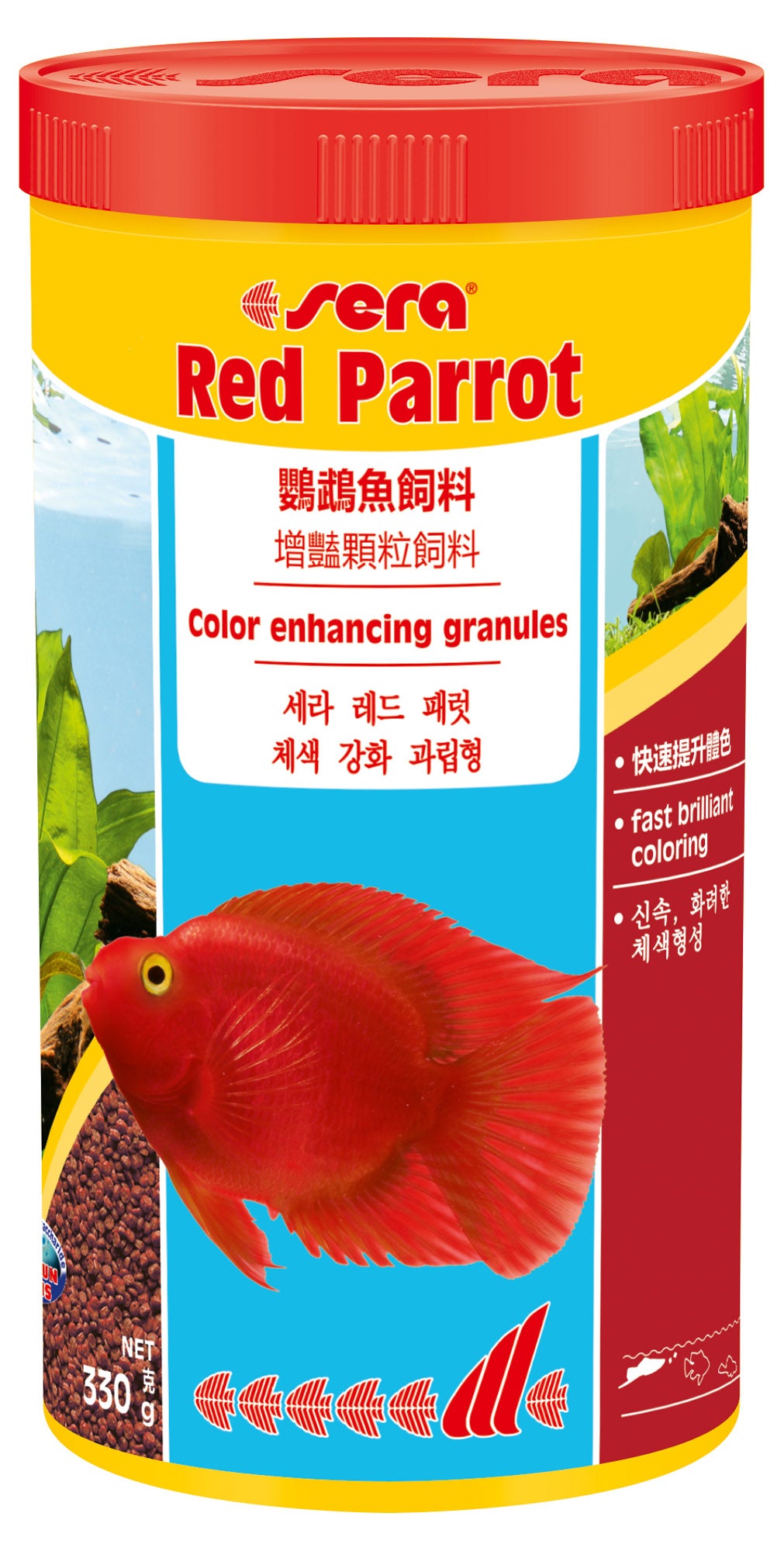 Red Parrot