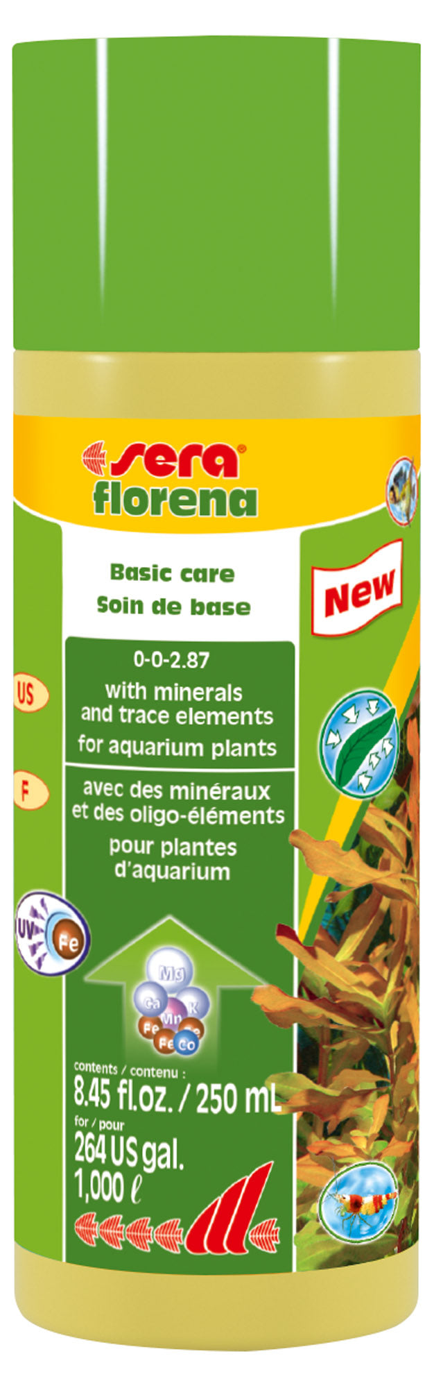 Florena