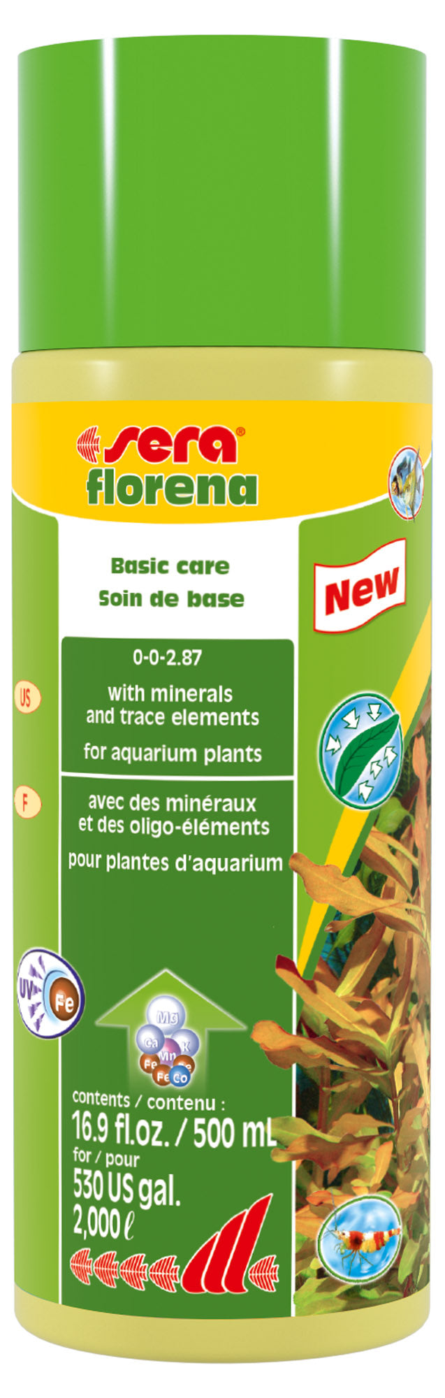 Florena