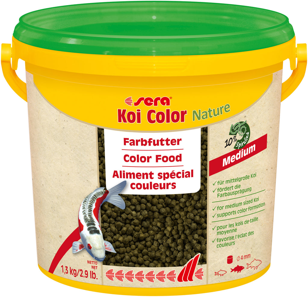 Koi Color Nature Medium