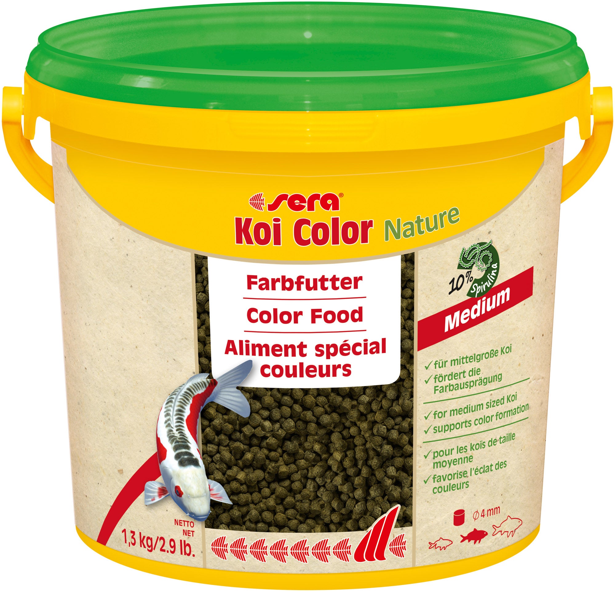 Koi Color Nature Medium