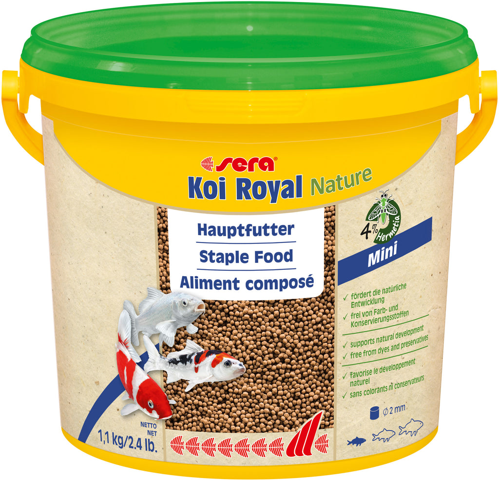 Koi Royal Nature Mini