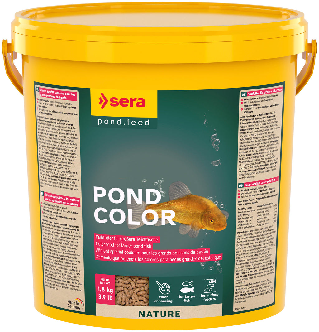 Pond Color Sticks Nature
