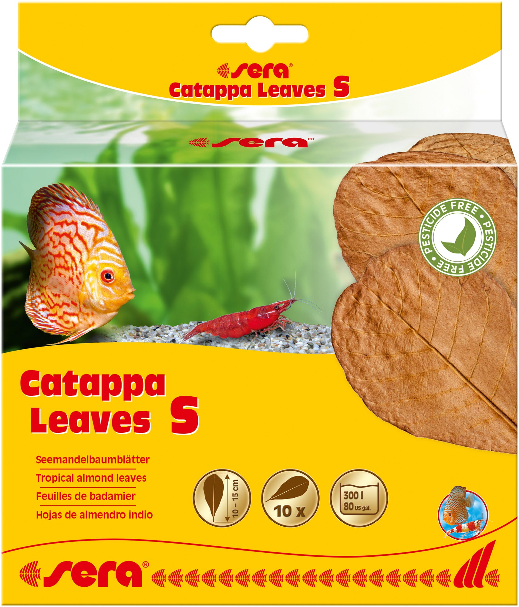 Catappa Leaves