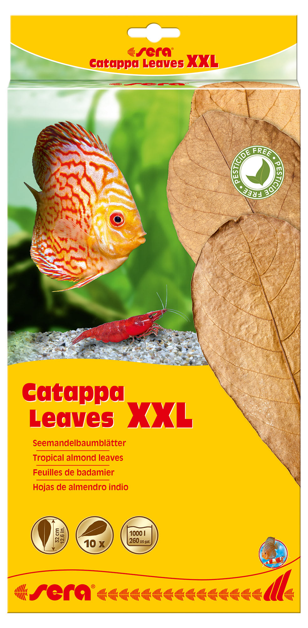 Catappa Leaves