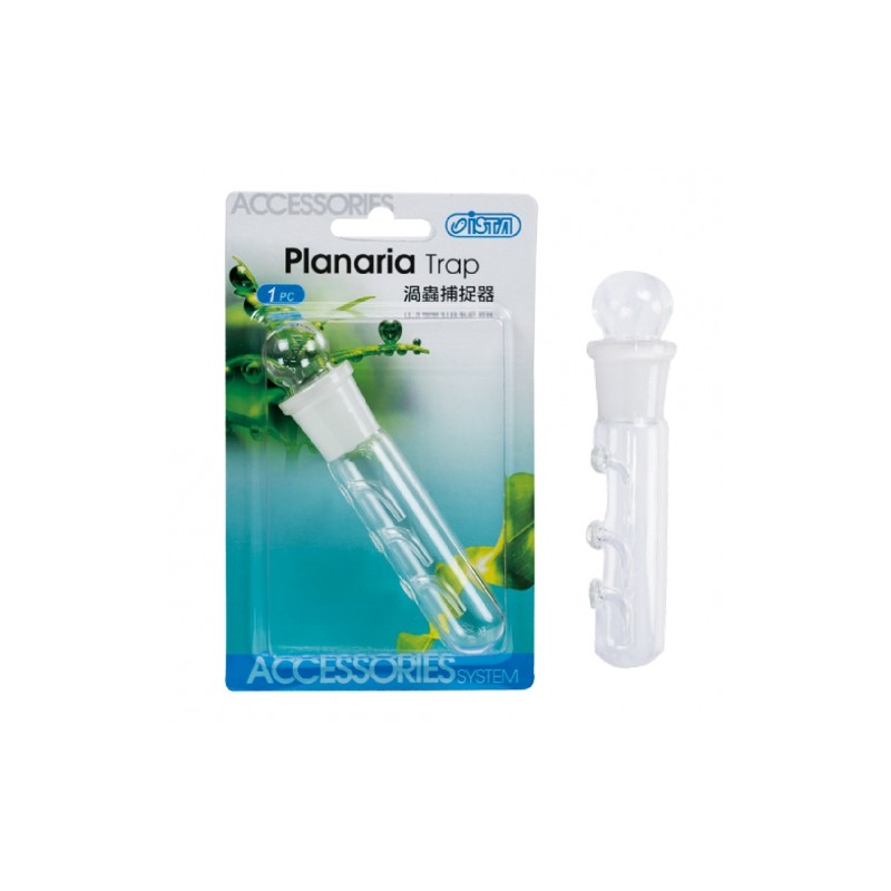 Ista - Planaria Trap