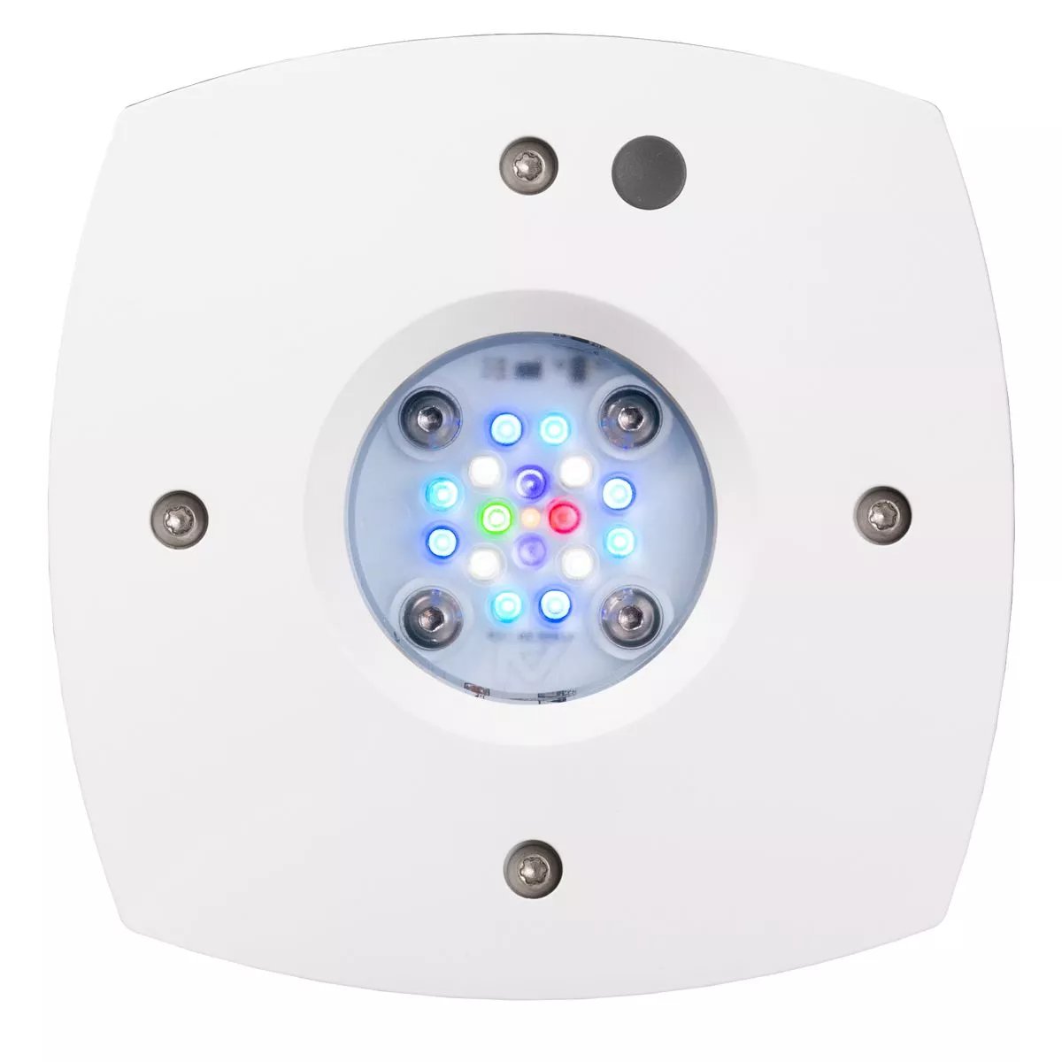 Prime 16 HD LED Freshwater – White