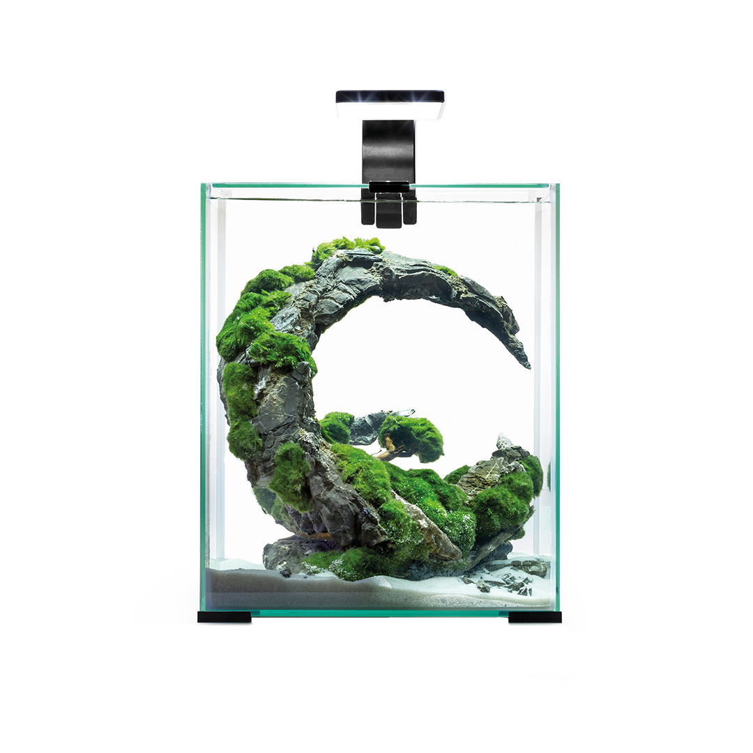 Shrimp Set Tank 30 Black or White