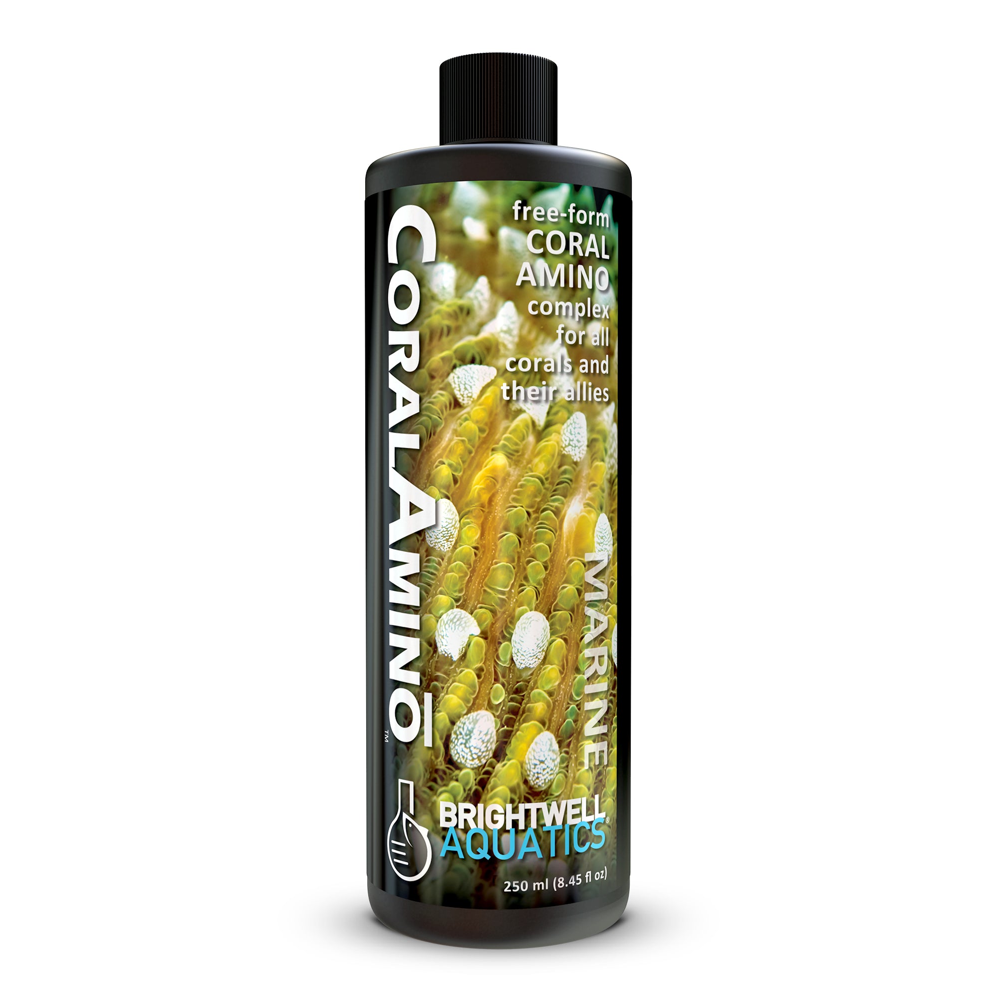 CoralAmino