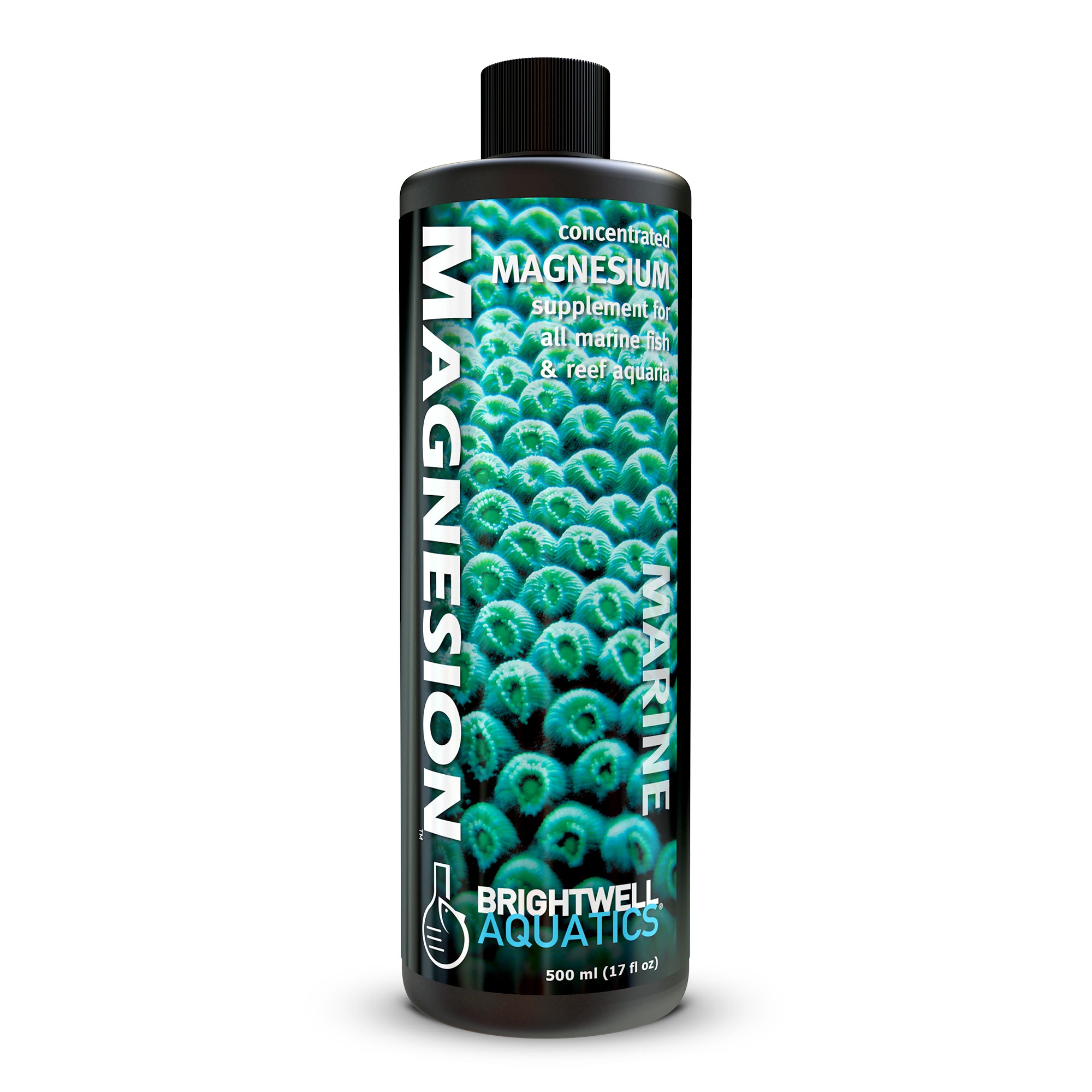 Magnesion