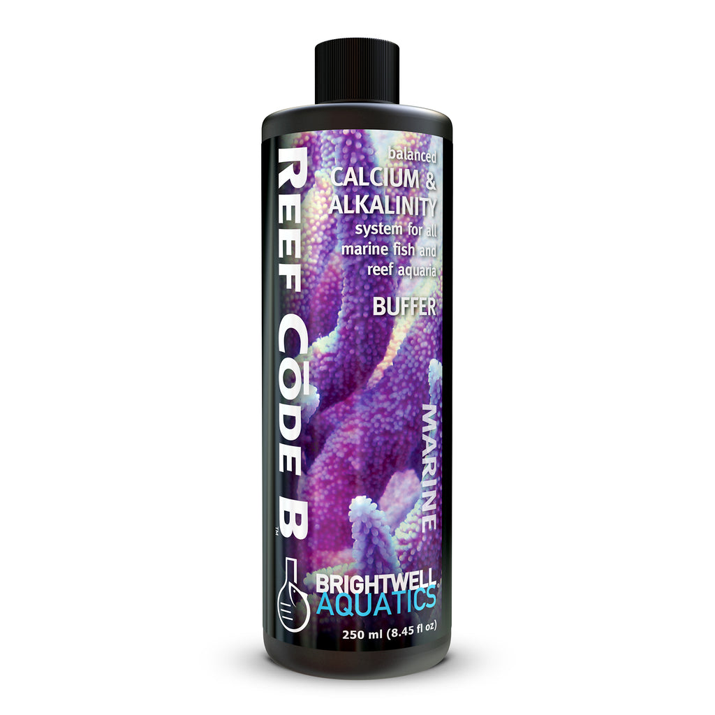 Reef Code B