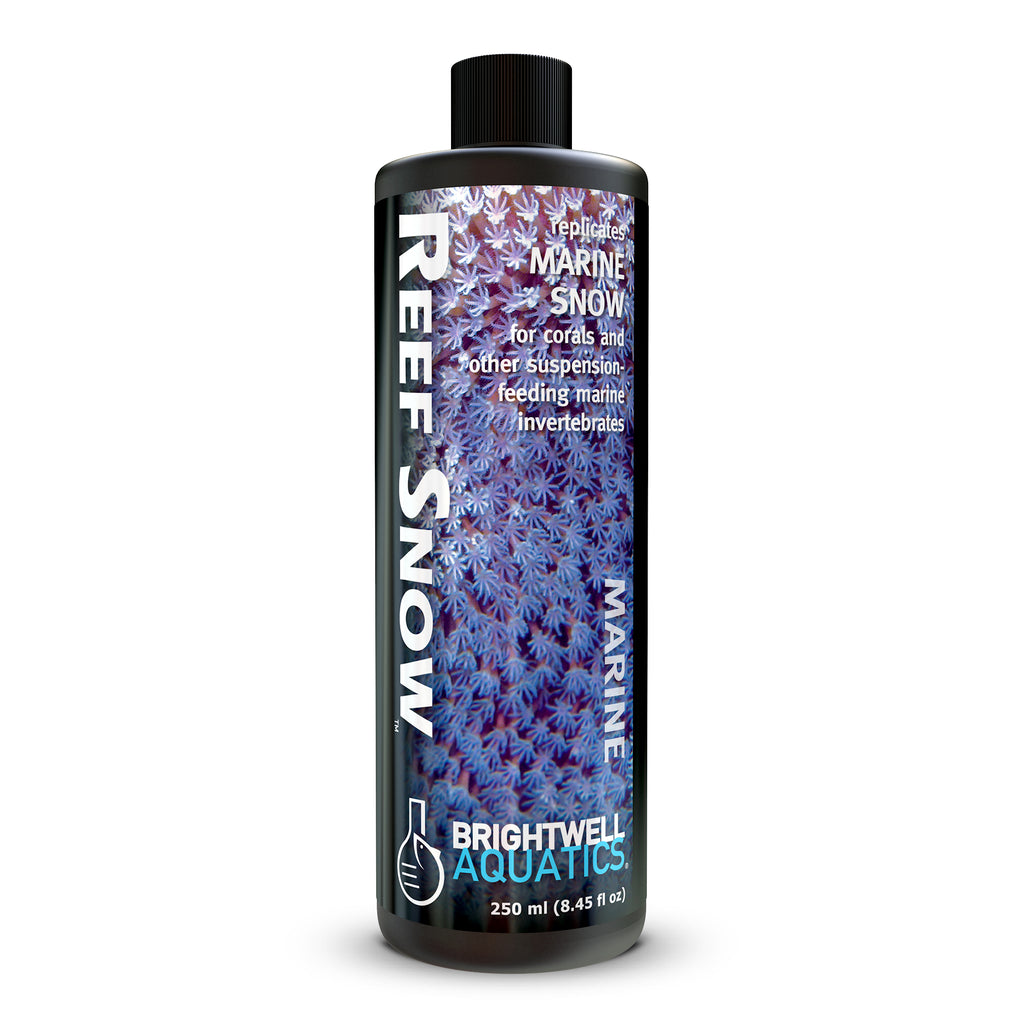 Reef Snow