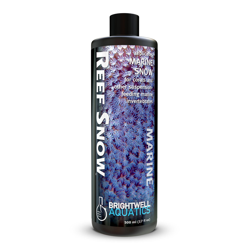 Reef Snow