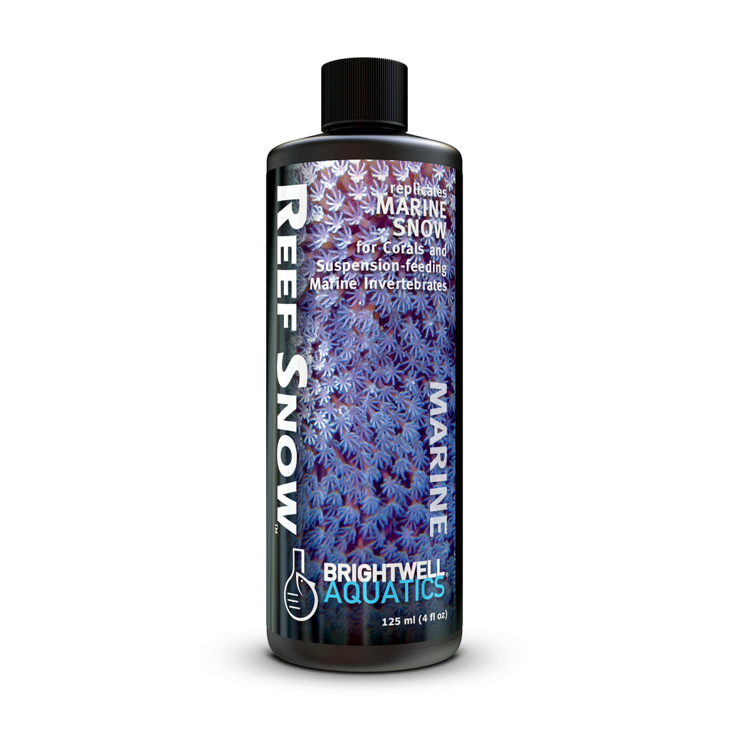 Reef Snow