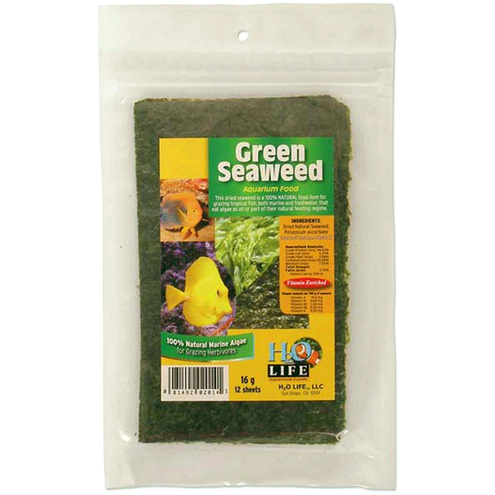 Green Seaweed
