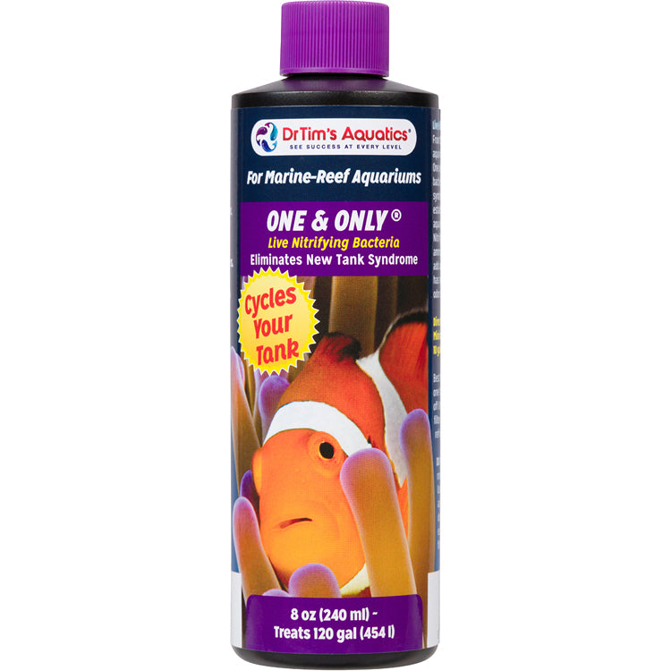 Reef One &amp; Only