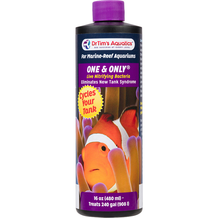 Reef One &amp; Only