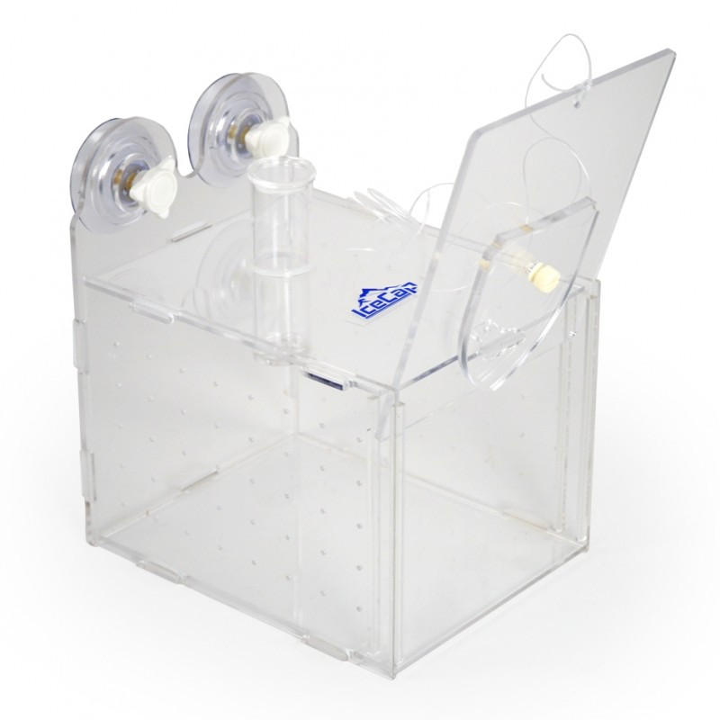 Ice Cap Fish Trap