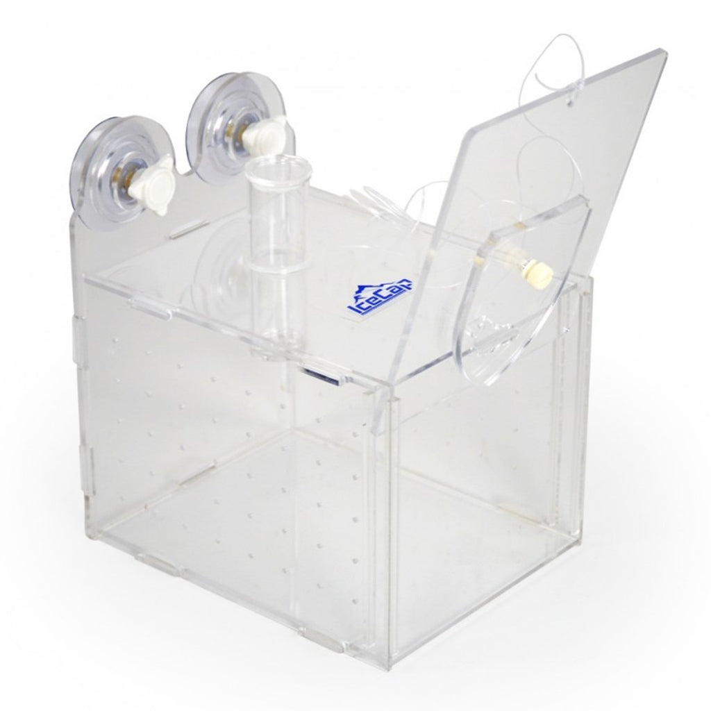 Ice Cap Fish Trap