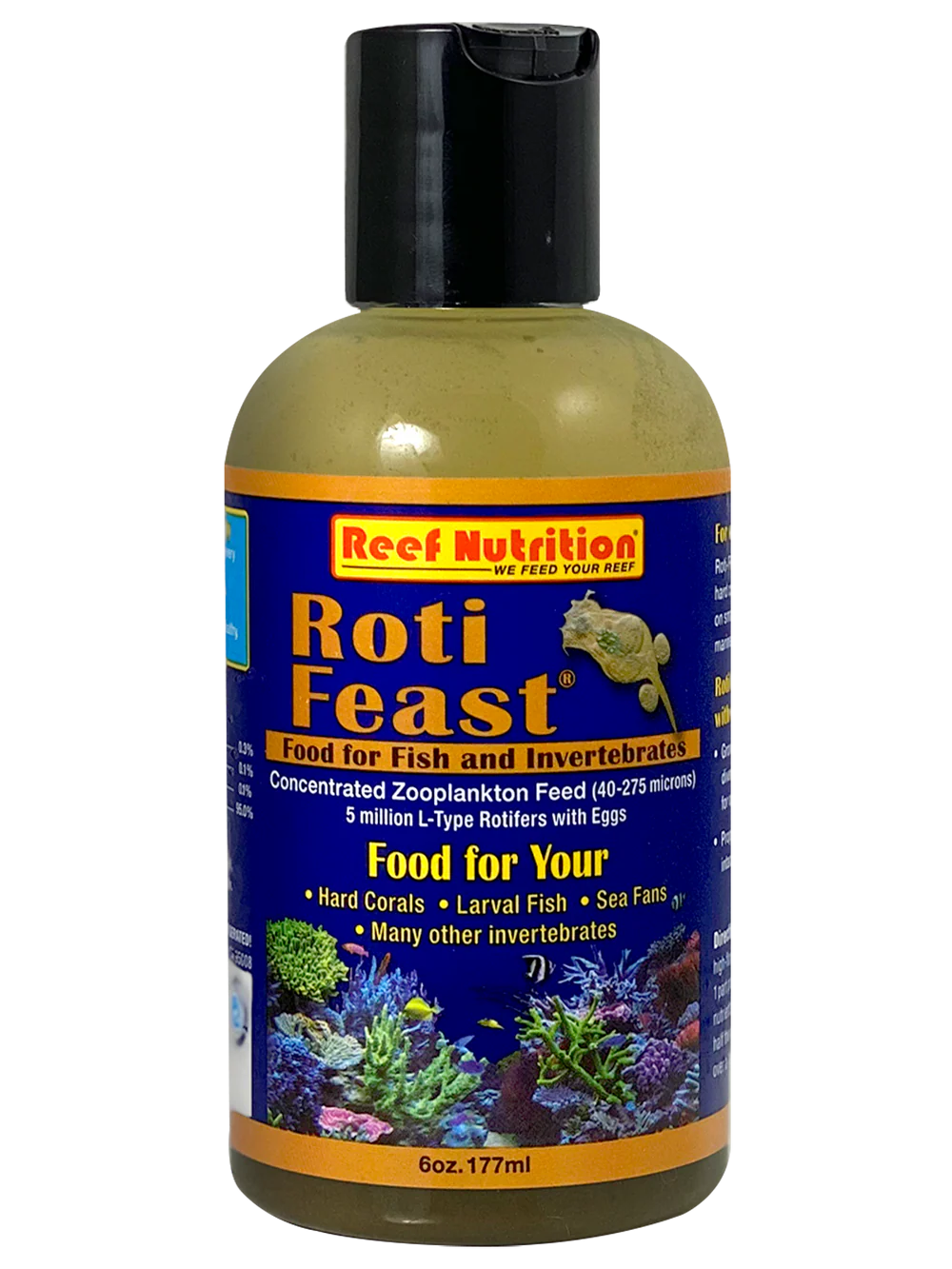 Roti-Feast